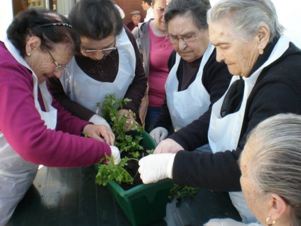  - Centro S.C.D.Sande S.Clemente