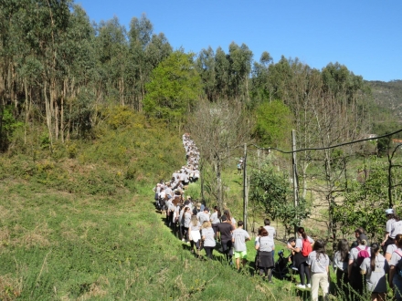 Caminhada Solidária | 30 Março 2025 - Centro S.C.D.Sande S.Clemente